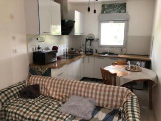 Logement entier entrée autonome ch,sdd,cs privatives - Aussonne - 0