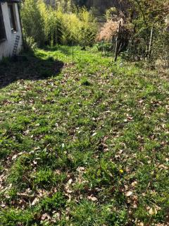 Logement entier - Aussonne - 9