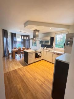 DiamondVilla, 4 bedroom Apartment, garden & spa - Prague - 2