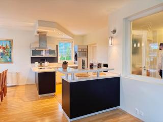 DiamondVilla, 4 bedroom Apartment, garden & spa - Prague - 1