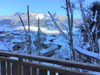 Chalet Renard Fou -Luxury 2 Bedroom Apartment - Morzine - 3