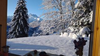 apartment with big garden and stunning view - Chesières - 3