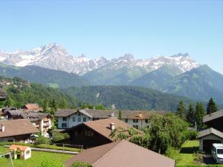 apartment with big garden and stunning view - Chesières - 8