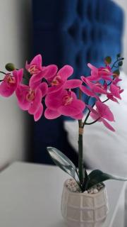 Luxury Central City Escape - 5