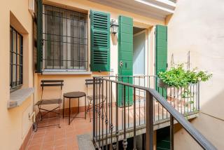 Violino green - Cremona - 5