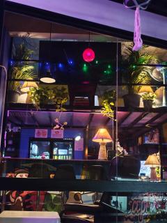 The Funky Monkey Hostel - 18 to 40 years old only - Haad Rin - 1