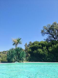 Loft 45m2 Piscine - Carqueiranne - 8