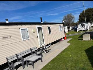 Trecco bay birch - Newton - 9