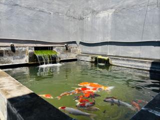 Griya Rumaisha San Cefila Residence B2 Jember - 9