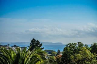 Tropical Paradise by the Sea - Auckland - 4