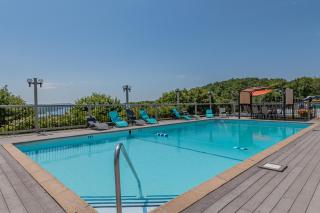 Tree of Heaven 1102 - Branson - 6