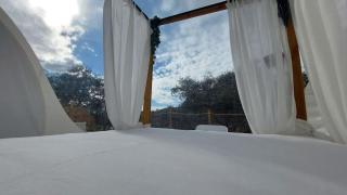Glamping Burbuja Los Almendros - 6