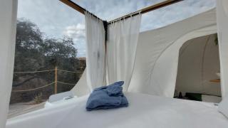 Glamping Burbuja Los Almendros - 4