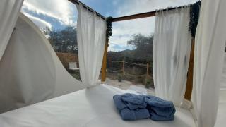 Glamping Burbuja Los Almendros - Málaga - 7