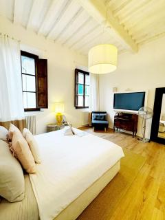 Boutique Room - Centro Storico 20 min da Firenze - Empoli - 3