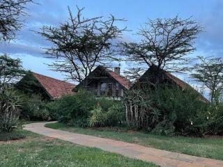 Lolldaiga Woods - Nanyuki - 1