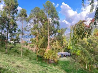 Las Hamacas (Hospedaje Rural) - Villamaría - 6