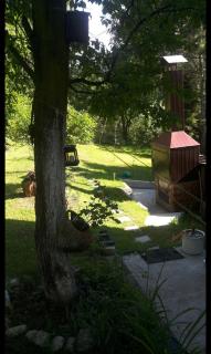 Piccola foresta - Visoko - 5