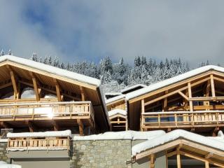 Chalet de luxe avec jacuzzi, sauna, parking et WIFI aux Gets - FR-1-598-19 - Les Gets - 8
