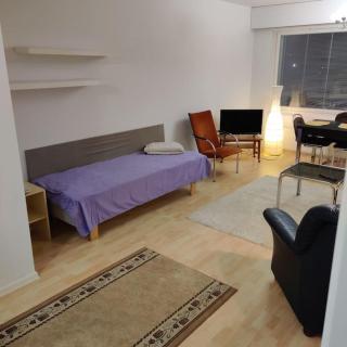 Nice 3-room-apartment next to Old Rauma & stadiums - Rauma - 3