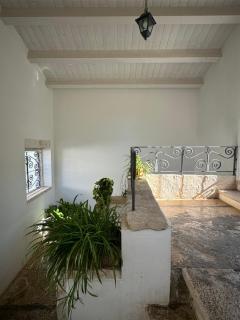Stella - Terlizzi - 6