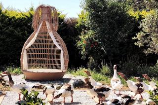 Lux in nature ekolia bodrum - Bodrum - 8