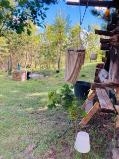 Chalet Forest - Saint-Apollinaire - 6