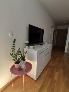 MDM Apartman Vrnjačka Banja - Vrnjačka Banja - 7