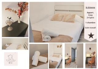 Douceur de Sainté - appartement cosy 2-4 personnes centre - Saint-Étienne - 6