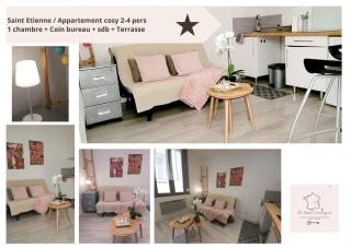 Douceur de Sainté - appartement cosy 2-4 personnes centre - Saint-Étienne - 8