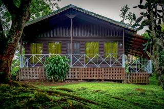 Hospedaje La Naciente - Turrialba - 6