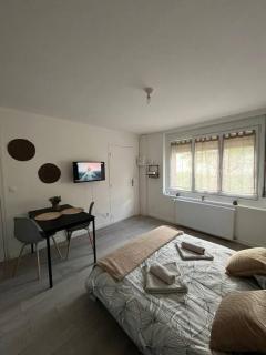 Gite le little cottage 18m2 2 personnes - Villeneuve d'Ascq - 7