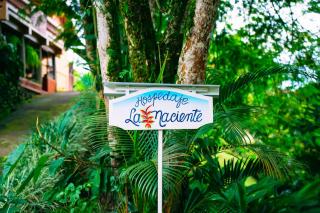 Hospedaje La Naciente - Turrialba - 8