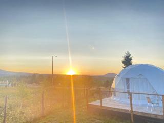 Glamping 4 us - Topliţa - 6
