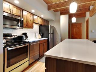 Timberline Condominiums 1 Bedroom Deluxe Unit B1C - Snowmass Village - 2