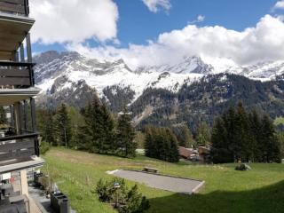 Appartement sur les pistes - Gryon - 7