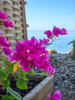 Ti Kay Paradi T1 - Accès plage direct - 6