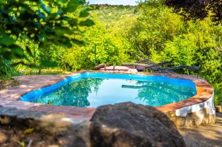 Cinco Lunas VEGETARIAN Guesthouse - 6