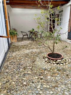 Cozy mini apartment in La Floresta - Quito - 8