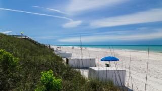 Pinewood30A 436 - Santa Rosa Beach - 4