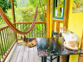 Cabañas Los Gulungos Lodge - Jardin - 6