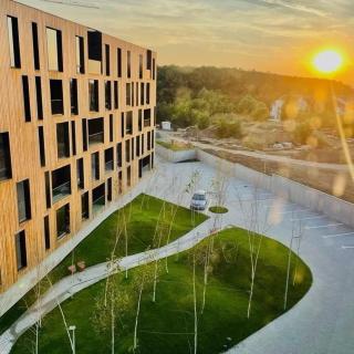 Green Loft - Mogoşoaia - 8