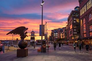 Botanical Bliss in OSLO! - 7