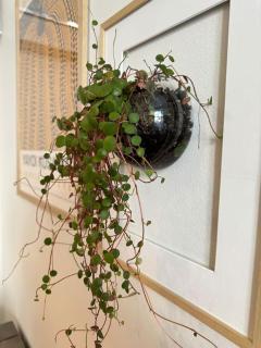 Botanical Bliss in OSLO! - 2