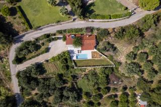 Green Retreat - Sparta - 5