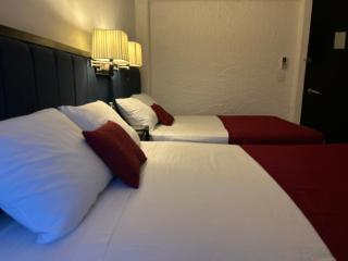 Choco's Hotel - Villahermosa - 4