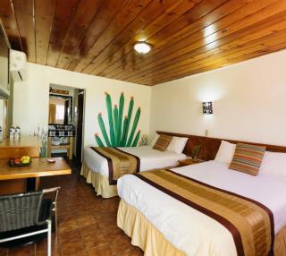 Hotel Las Palmas - San Felipe - 6