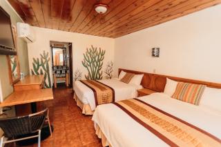 Hotel Las Palmas - 7