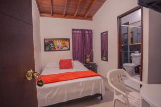 Hotel Palma De Sevilla - Medellín - 6