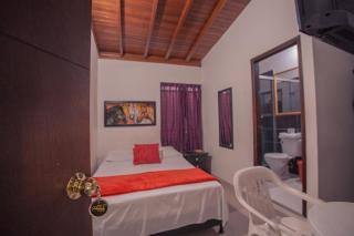 Hotel Palma De Sevilla - Medellín - 5